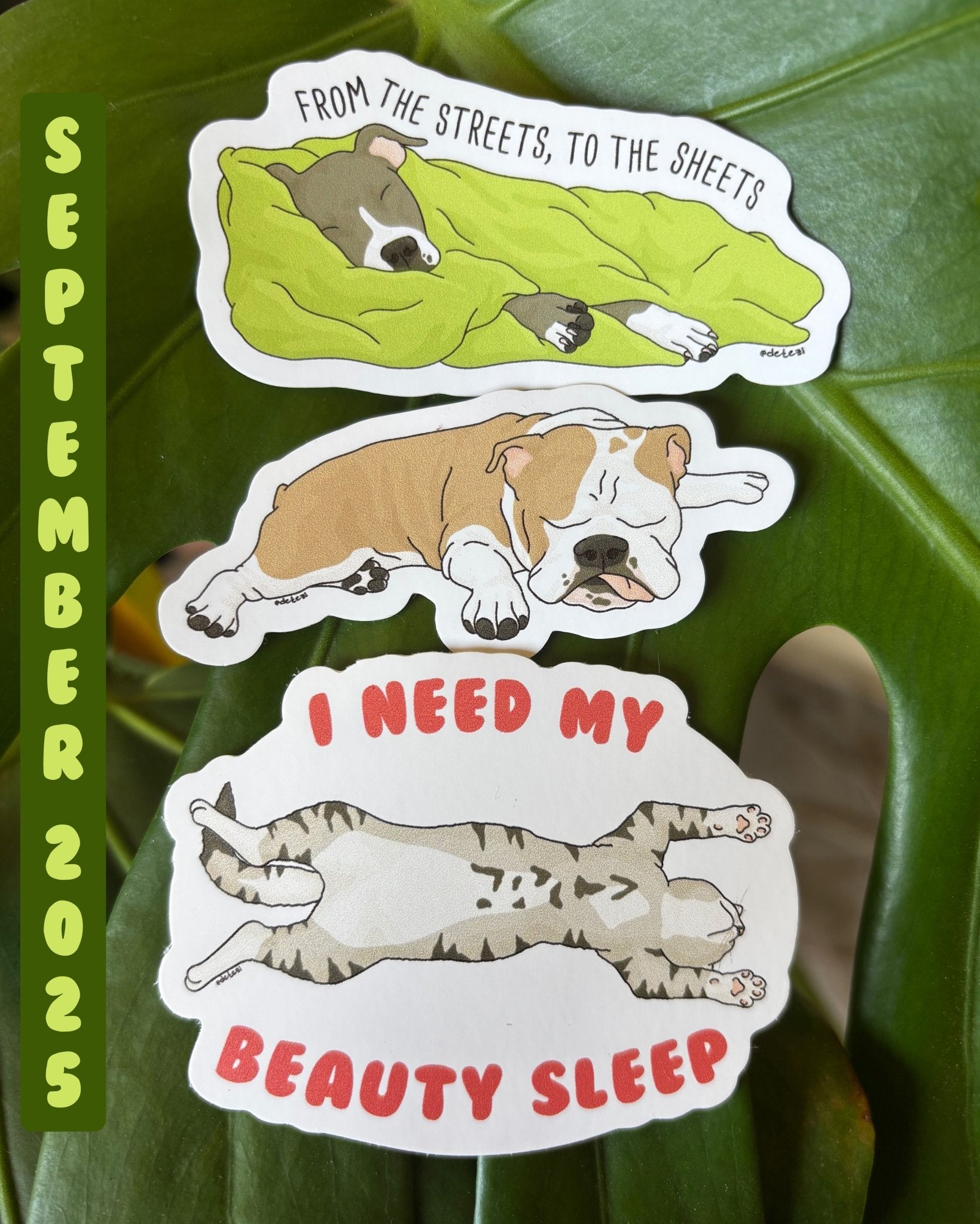 Sticker Club! - Detezi Designs - 