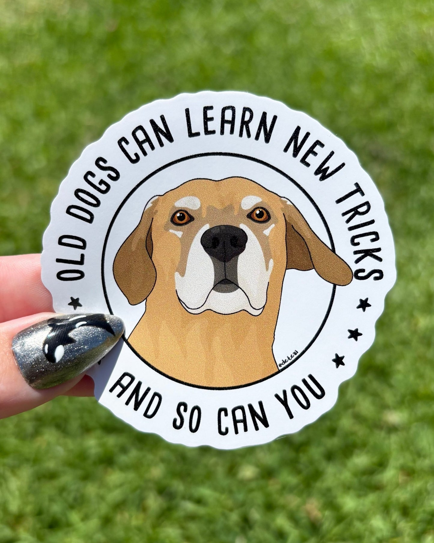 Sticker Club: Monthly Subscription - Detezi Designs-