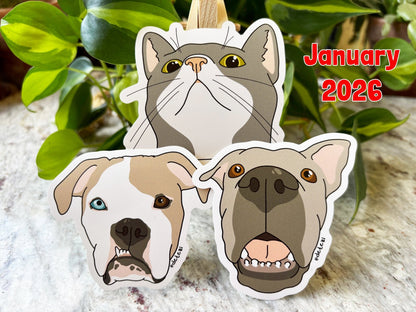 Sticker Club: Monthly Subscription - Detezi Designs - 