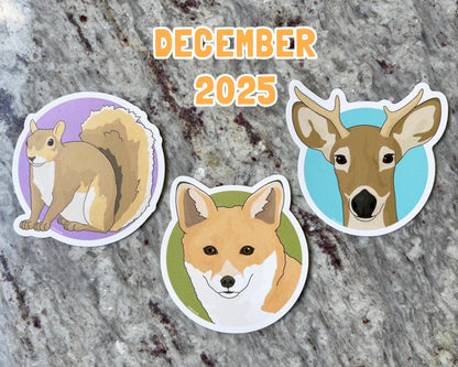 Sticker Club: Monthly Subscription - Detezi Designs - 