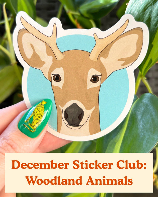 Sticker Club: Monthly Subscription - Detezi Designs - 