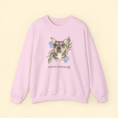Sunshine | FUNDRAISER for HHART | Crewneck Sweatshirt - Detezi Designs - 15329907129823013231