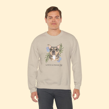 Sunshine | FUNDRAISER for HHART | Crewneck Sweatshirt - Detezi Designs - 15329907129823013231