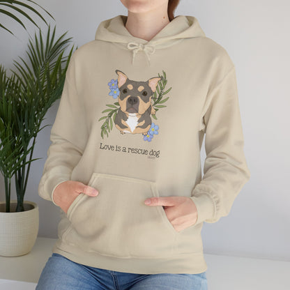 Sunshine | FUNDRAISER for HHART | Hooded Sweatshirt - Detezi Designs - 23745691110730850098