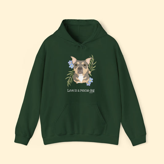 Sunshine | FUNDRAISER for HHART | Hooded Sweatshirt - Detezi Designs - 23745691110730850098