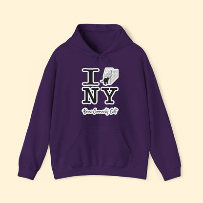 TNRM NY | FUNDRAISER for Bronx Community Cats | Hooded Sweatshirt - Detezi Designs - 12028091750411406833