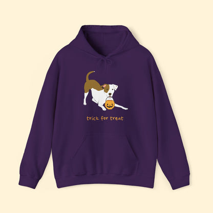 Trick For Treat | Hooded Sweatshirt - Detezi Designs - 10043918641002388231