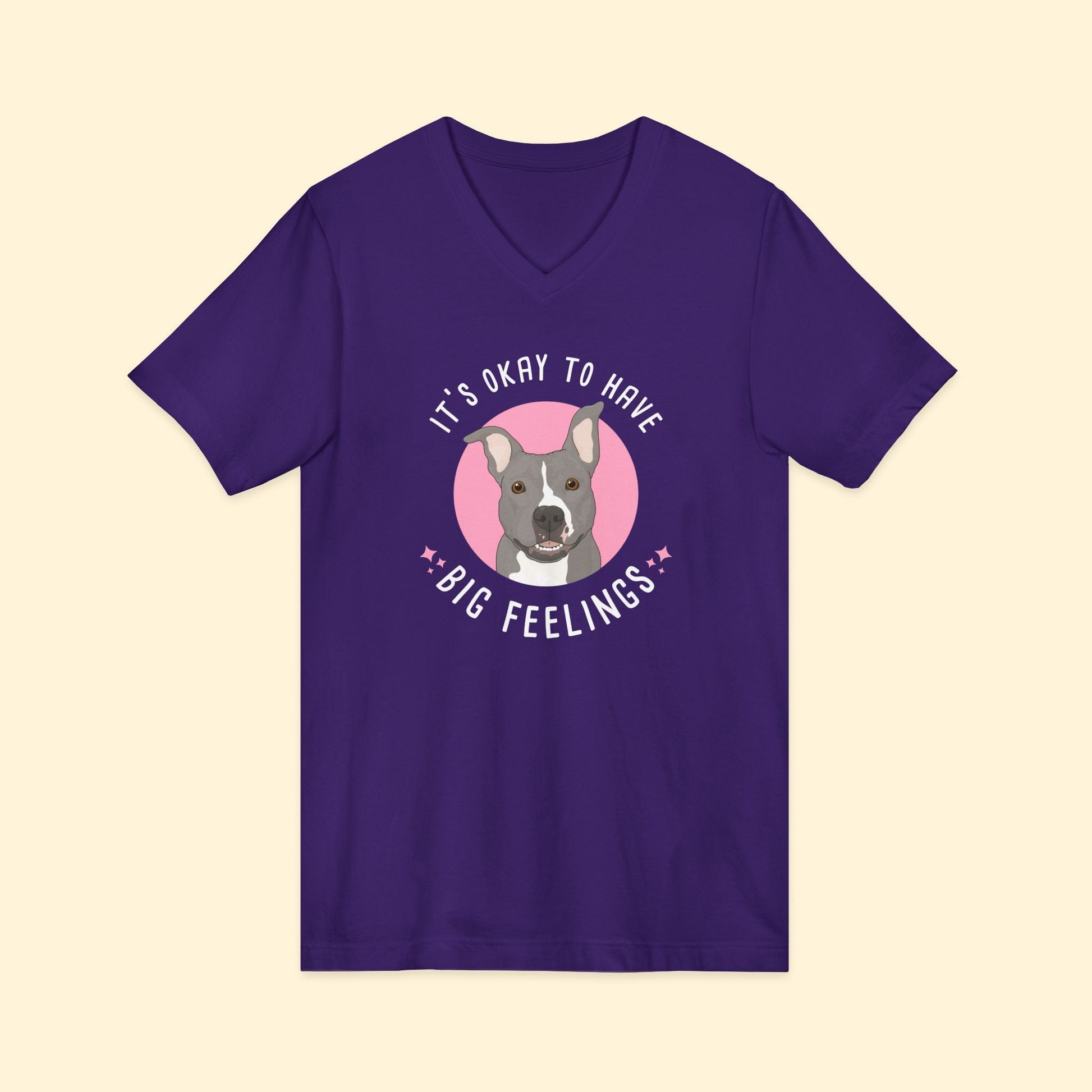 Unisex V-Neck Tee | FUNDRAISER | Friends of City Dogs Cleveland - Detezi Designs-16511077120287178010