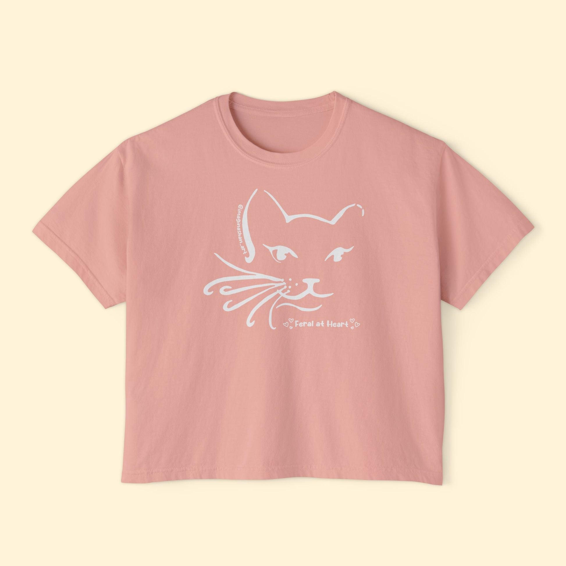Whiskers | FUNDRAISER for Feral At Heart | Comfort Colors Boxy Tee - Detezi Designs - 22718488653797530169