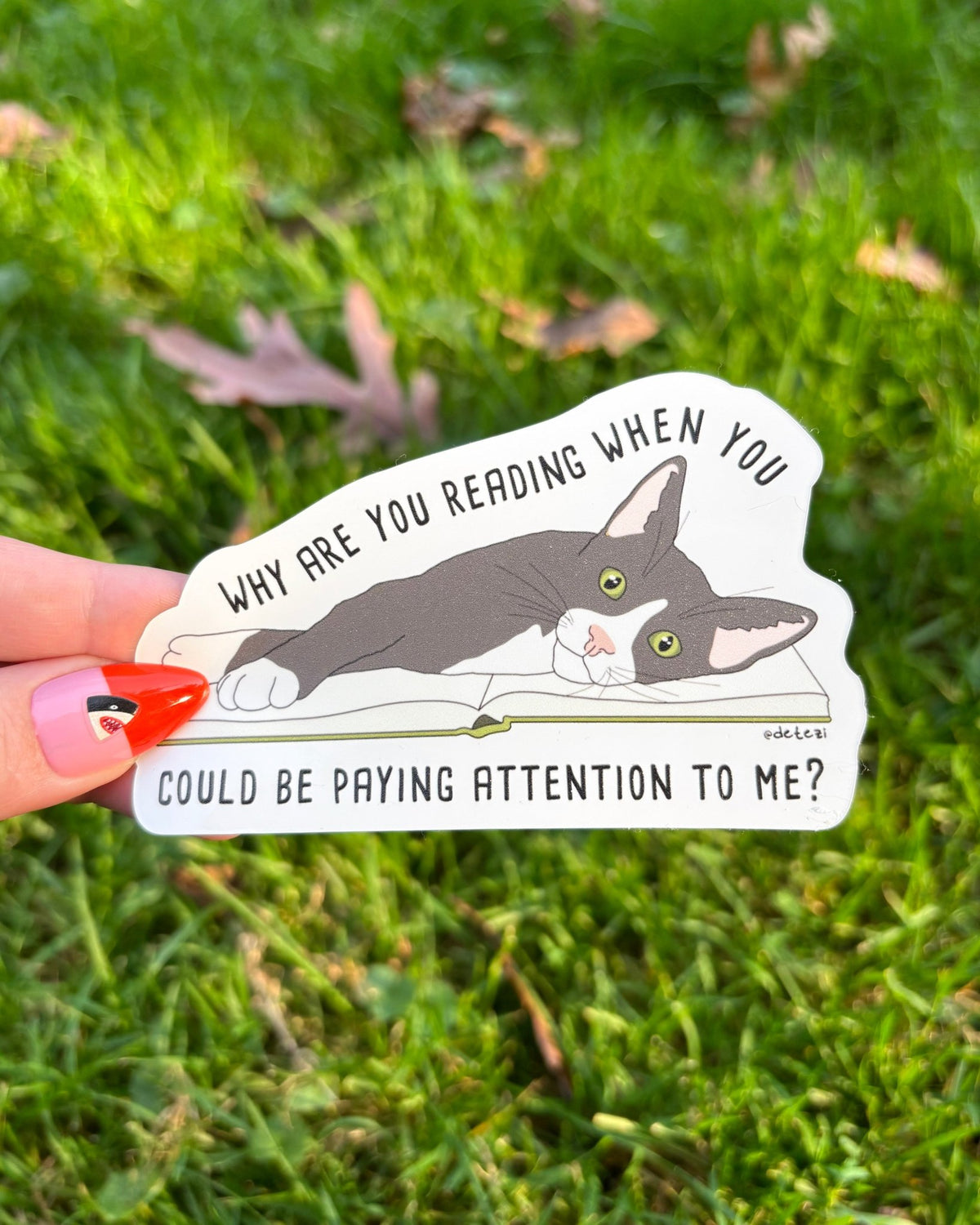 Why Are You Reading | Vinyl Sticker - Detezi Designs-