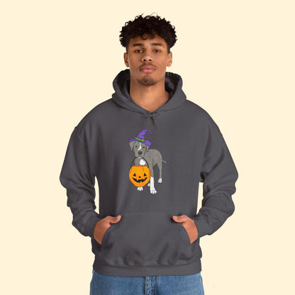 Witchy Puppy | Hooded Sweatshirt - Detezi Designs - 80469388296484226222