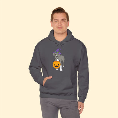 Witchy Puppy | Hooded Sweatshirt - Detezi Designs - 80469388296484226222