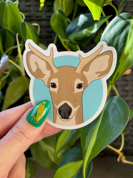 Woodland Animals | December 2025 Sticker Pack - Detezi Designs - 