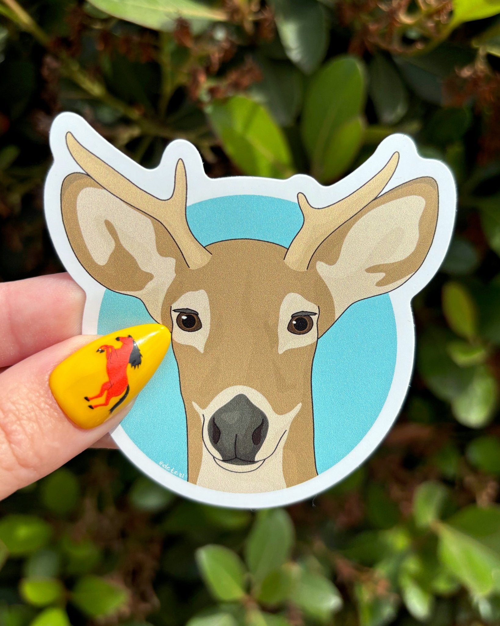 Young Deer | Vinyl Sticker - Detezi Designs - 