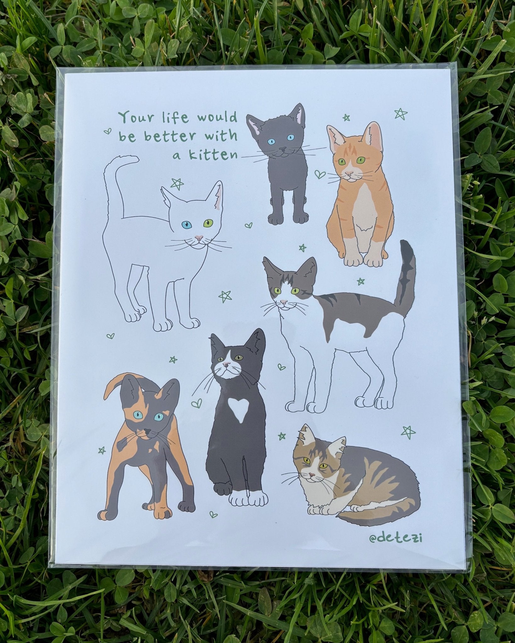 Your Life Would Be Better | Giclee Fine Art Print - Detezi Designs - 