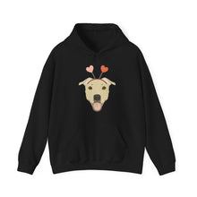Load image into Gallery viewer, A Very Bully Valentine | Hooded Sweatshirt - Detezi Designs-19165070031053889881
