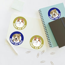 Load image into Gallery viewer, Adopt Old Cats + Dogs | Sticker Sheet - Detezi Designs-27069182381698422142
