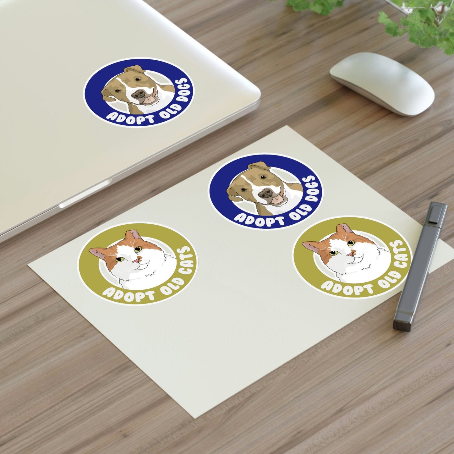 Adopt Old Cats + Dogs | Sticker Sheet - Detezi Designs-28128851347407180540