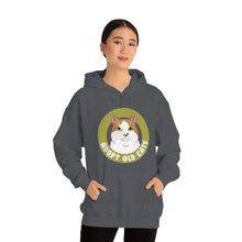 Load image into Gallery viewer, Adopt Old Cats | Hooded Sweatshirt - Detezi Designs-44444457682853970561
