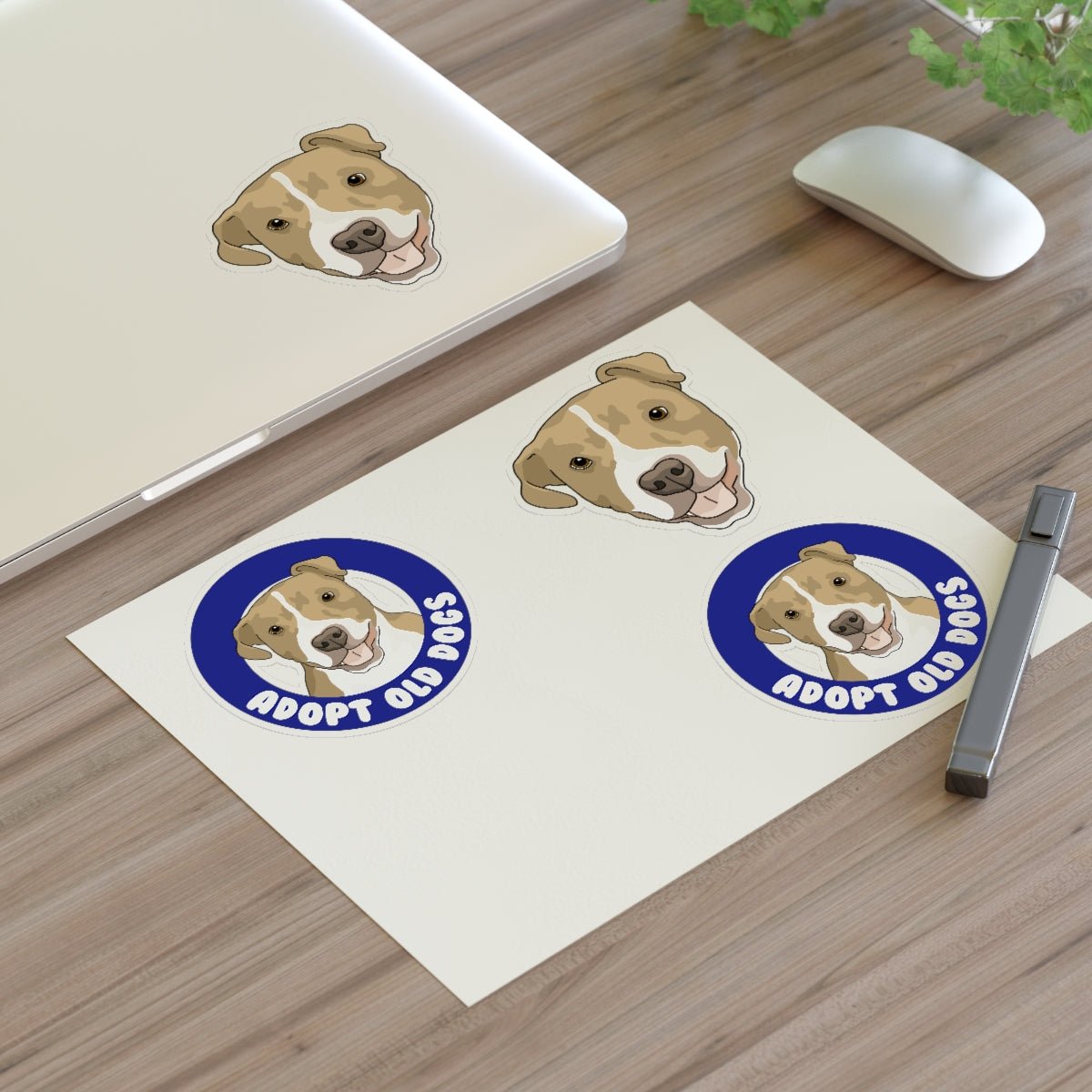 Alma | Adopt Old Dogs | Sticker Sheets - Detezi Designs-11947417049824879989