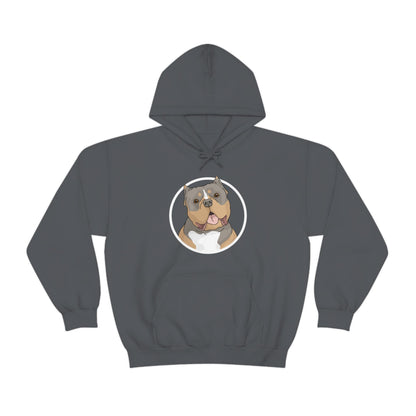 American Bully Circle | Hooded Sweatshirt - Detezi Designs-32993369931923626748