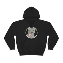 Load image into Gallery viewer, American Pit Bull Terrier Circle | Hooded Sweatshirt - Detezi Designs-21567982968504025715
