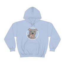 Load image into Gallery viewer, American Pit Bull Terrier Circle | Hooded Sweatshirt - Detezi Designs-21851197216910362933
