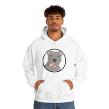 Load image into Gallery viewer, American Pit Bull Terrier Circle | Hooded Sweatshirt - Detezi Designs-25968813492190935648
