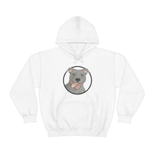 Load image into Gallery viewer, American Pit Bull Terrier Circle | Hooded Sweatshirt - Detezi Designs-41751006926838848324
