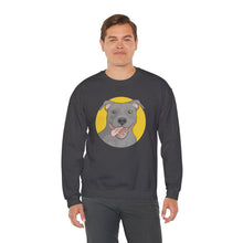 Load image into Gallery viewer, American Pit Bull Terrier | Crewneck Sweatshirt - Detezi Designs-16593846997686366708
