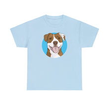 Load image into Gallery viewer, American Staffordshire Terrier | T-shirt - Detezi Designs-20828707487212503567
