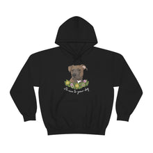 Load image into Gallery viewer, Be Nice to Your Dog | Hooded Sweatshirt - Detezi Designs-27411051943619727407
