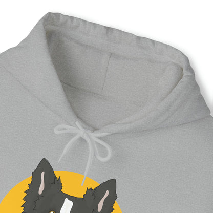 Border Collie | Hooded Sweatshirt - Detezi Designs-74842476572370756551