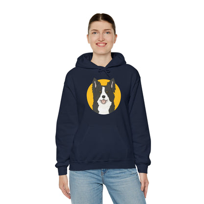 Border Collie | Hooded Sweatshirt - Detezi Designs-74842476572370756551