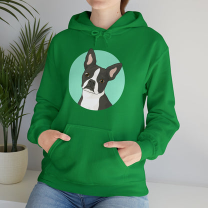 Boston Terrier | Hooded Sweatshirt - Detezi Designs-18939934363929724073