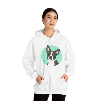 Boston Terrier | Hooded Sweatshirt - Detezi Designs-18939934363929724073