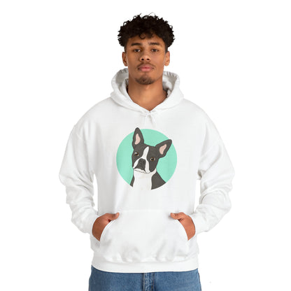 Boston Terrier | Hooded Sweatshirt - Detezi Designs-18939934363929724073