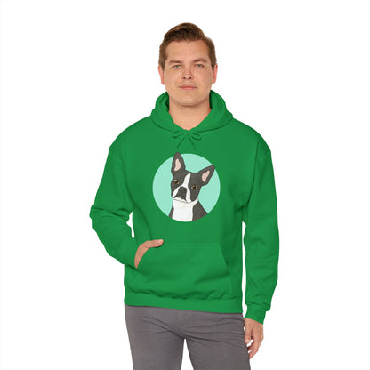 Boston Terrier | Hooded Sweatshirt - Detezi Designs-18939934363929724073