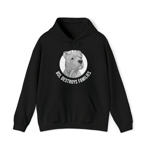 BSL Destroys Families | Hooded Sweatshirt - Detezi Designs-23598596184611436688
