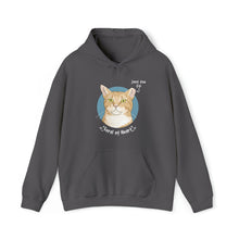 Load image into Gallery viewer, Charlie Bean | FUNDRAISER for Feral At Heart | Hooded Sweatshirt - Detezi Designs-33014691919054296064
