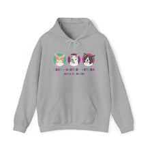 Load image into Gallery viewer, Charlie Bean, Iris, and Kit Kit | FUNDRAISER for Feral At Heart | Hooded Sweatshirt - Detezi Designs-16822404651821278869
