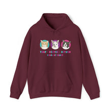 Load image into Gallery viewer, Charlie Bean, Iris, and Kit Kit | FUNDRAISER for Feral At Heart | Hooded Sweatshirt - Detezi Designs-28399010215045015724
