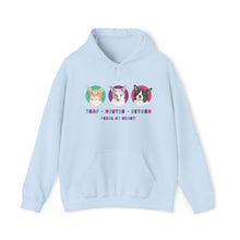 Load image into Gallery viewer, Charlie Bean, Iris, and Kit Kit | FUNDRAISER for Feral At Heart | Hooded Sweatshirt - Detezi Designs-32984675984290342599
