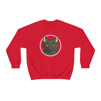 DSH Black Cat Circle | Crewneck Sweatshirt - Detezi Designs-12226176637493301958