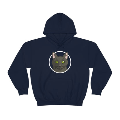 DSH Black Cat Circle | Hooded Sweatshirt - Detezi Designs-20557782886669864186