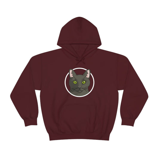 DSH Black Cat Circle | Hooded Sweatshirt - Detezi Designs-21640925254941535813