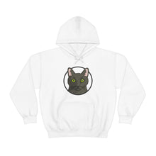 Load image into Gallery viewer, DSH Black Cat Circle | Hooded Sweatshirt - Detezi Designs-23825357924955019238
