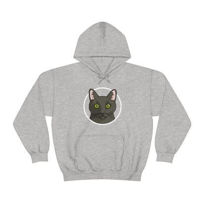 DSH Black Cat Circle | Hooded Sweatshirt - Detezi Designs-33055771538019284547