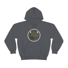 Load image into Gallery viewer, DSH Black Cat Circle | Hooded Sweatshirt - Detezi Designs-67635359735680106667
