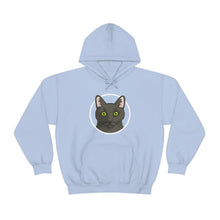 Load image into Gallery viewer, DSH Black Cat Circle | Hooded Sweatshirt - Detezi Designs-83139502078718749670

